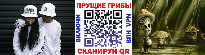 Галлюциногенные грибы MAGIC MUSHROOMS  Купить где  Михайловка 